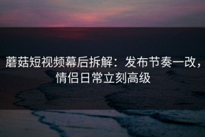 蘑菇短视频幕后拆解：发布节奏一改，情侣日常立刻高级