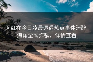 网红在今日凌晨遭遇热点事件迷醉，海角全网炸锅，详情查看