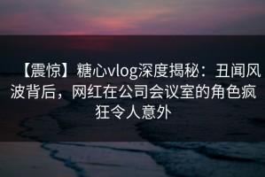 【震惊】糖心vlog深度揭秘：丑闻风波背后，网红在公司会议室的角色疯狂令人意外