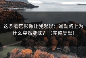这条蘑菇影像让我起疑：通勤路上为什么突然变味？（完整复盘）
