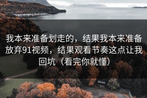 我本来准备划走的，结果我本来准备放弃91视频，结果观看节奏这点让我回坑（看完你就懂）
