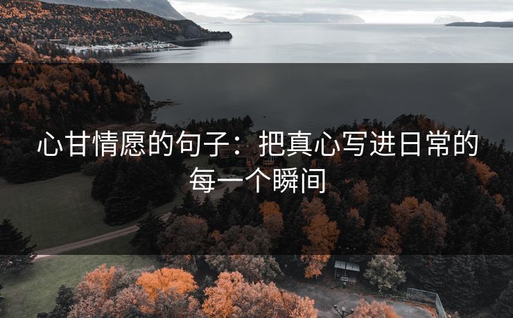 心甘情愿的句子:把真心写进日常的每一个瞬间 心甘情愿的句子:把真心写进日常的每一个瞬间