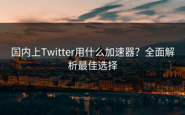 国内上Twitter用什么加速器？全面解析最佳选择